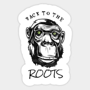 Back To The Roots Evolution Monkey Primate Sticker